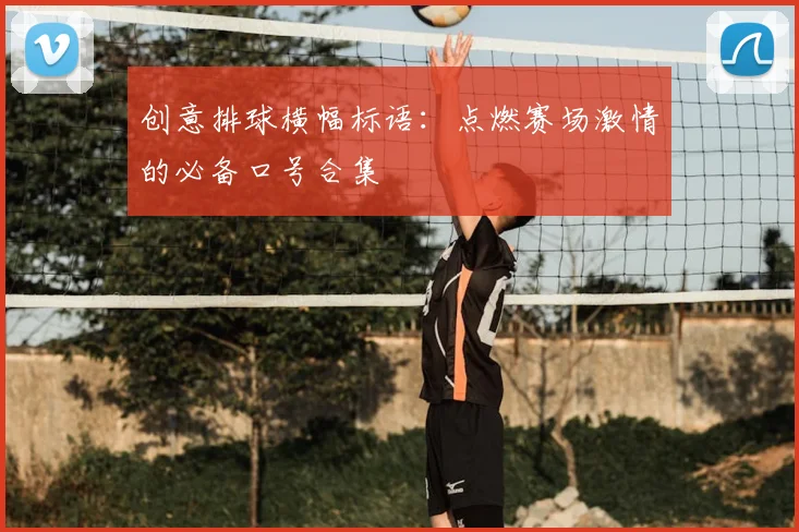 创意排球横幅标语：点燃赛场激情的必备口号合集